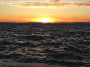 WhatsApp Image 2025-11-27 at 11.59.52 (4).jpeg