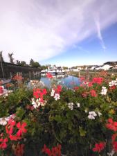 WhatsApp Image 2025-11-27 at 11.59.49.jpeg